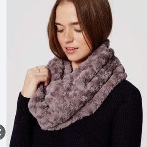 Ann Taylor LOFT Soft Infinity Scarf